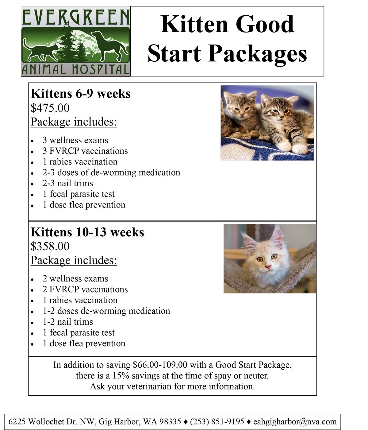 Kitten-Good-Start-Package-Flyer-for-Website.jpg