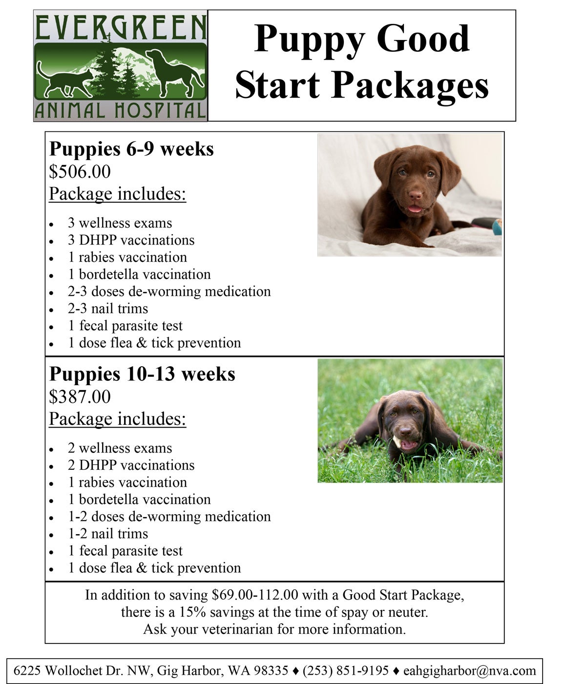 Puppy-Good-Start-Flyer-for-Website.jpg