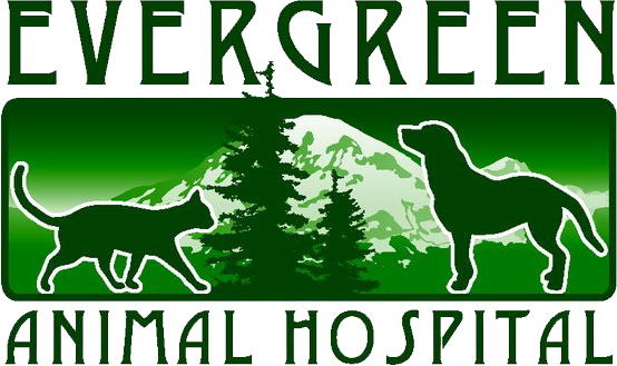 Evergreen Animal Hospital  logo